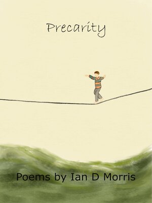 cover image of Precarity